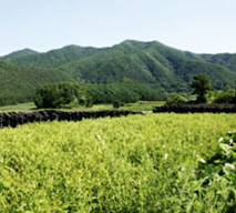 제8경 - 신선봉